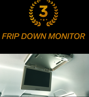 BEST3 FRIP DOWN MONITOR